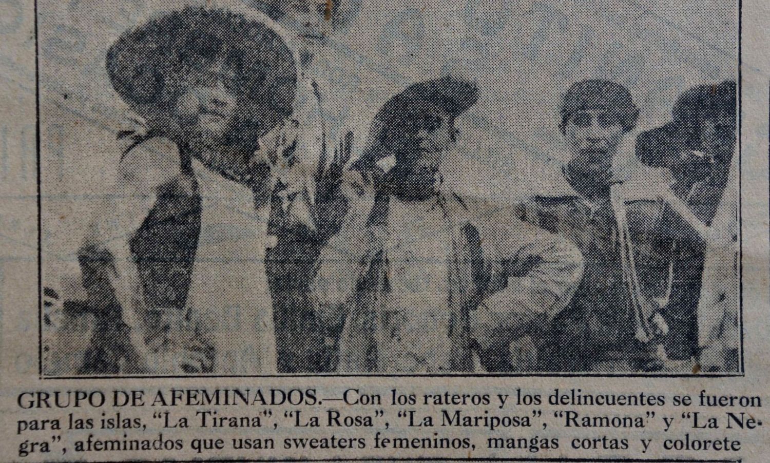 Mariposas en las Marías